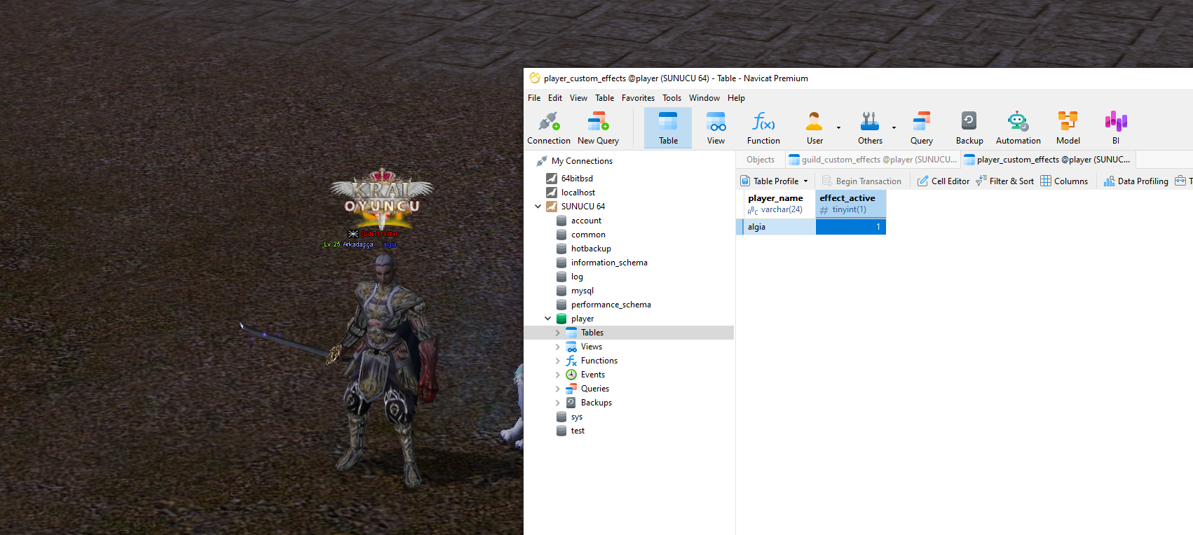 Kral Oyuncu Tag Sistemi